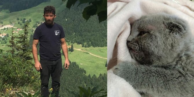 Kedi katiline 2 yıl hapis