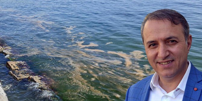 Prof. Dr. Tecer: Marmara Denizi'nde yeniden görülen müsilaj, dibe çökenler