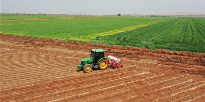 Tarım-ÜFE yıllık yüzde 148,90 arttı