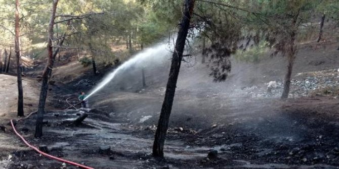 Gaziantep'te örtü yangını