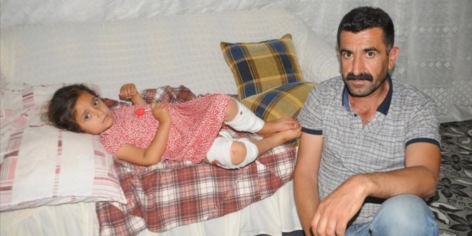 Şırnak'ta sahipsiz köpeğin saldırısına uğrayan kız çocuğu yaralandı