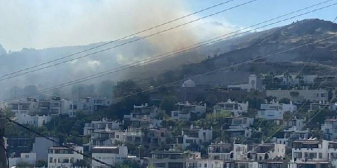 Bodrum'da otluk ve makilik alanda çıkan yangında 1,5 hektar alan tahrip oldu