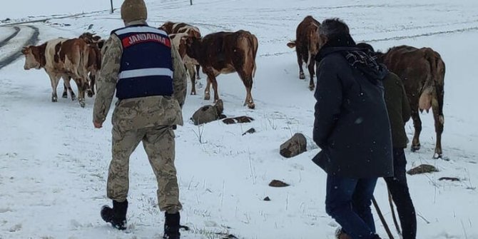 Hayvanlarını otlatırken karda mahsur kalan kadın, 4 saatte kurtarıldı