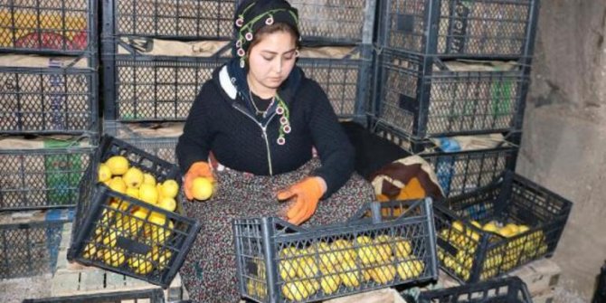 Soğuk hava deposunda 'Anneler Günü'