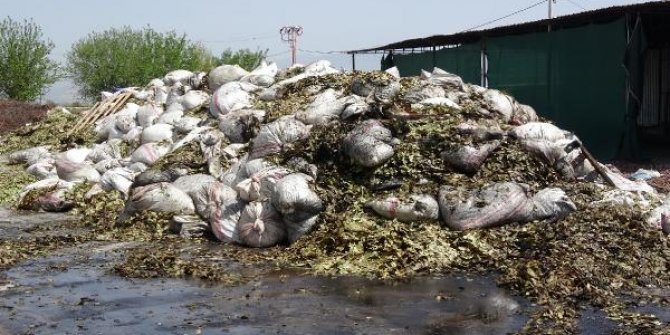 'Kuşum kaçtı' diyerek fabrikayı benzin döküp yakan şüpheli yakalandı