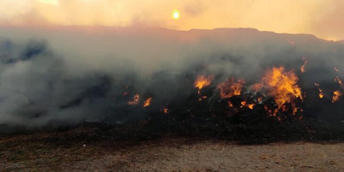 Tarım ve hayvancılık tesisinde çıkan yangınında tonlarca saman ve yem kül oldu