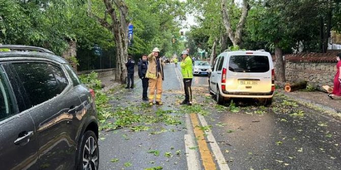 Üsküdar’da ağaç seyir halindeki araçların üzerine devrildi