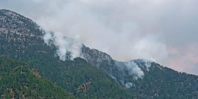 Alanya'da orman yangını