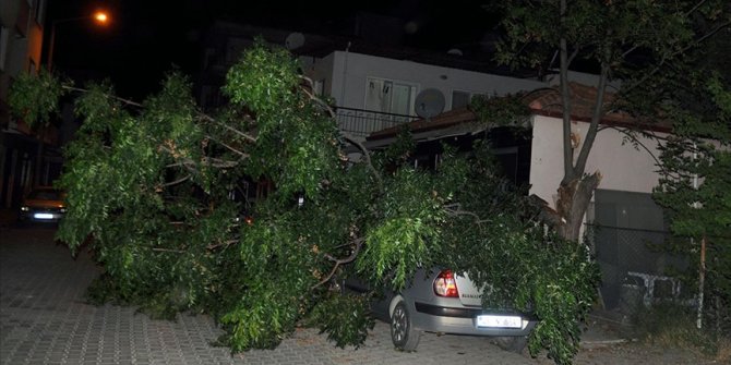 Ortaca'da fırtına etkili oldu