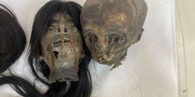 'Tsantsa'lar geldiği ülkeye iade edilecek