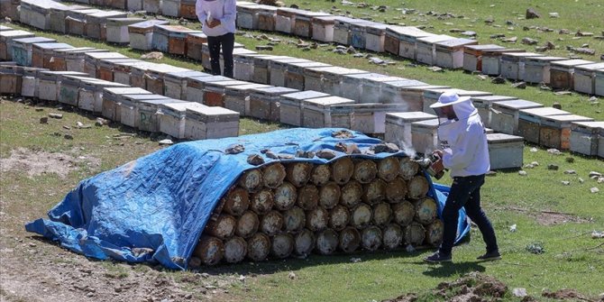 Yağışla artan bitki çeşitliliği arıcıları sevindirdi