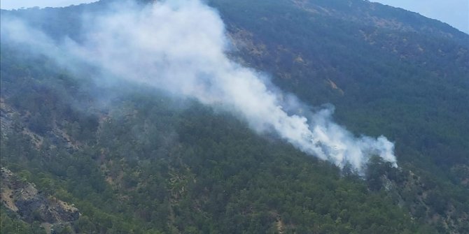 Muğla'daki orman yangını söndürüldü