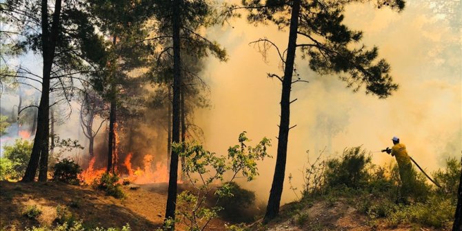 Hatay'da Amanos Dağları eteklerinde orman yangını çıktı
