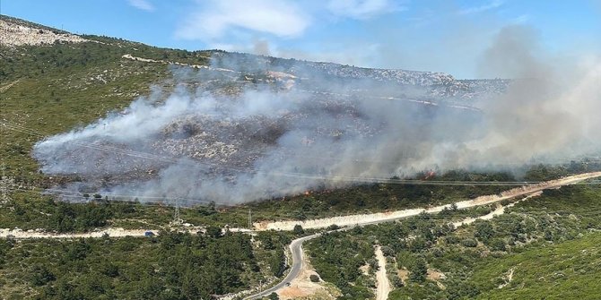 İzmir'in Urla ve Dikili ilçelerinde çıkan yangınlar kontrol altına alındı