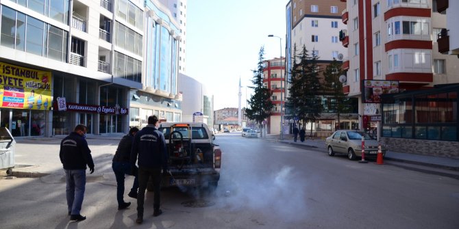 Haşere avcıları görev başında