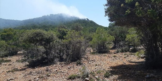Mersin ve Muğla'da çıkan orman yangınlarına müdahale ediliyor