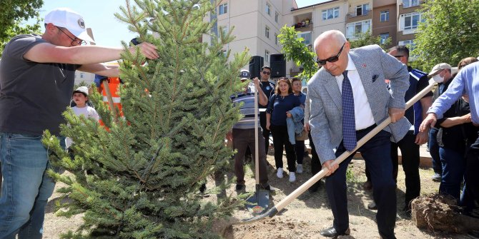 Kardelen Mahallesi'nde 200 mavi ladin toprakla buluştu