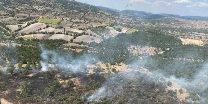 Manisa'daki orman yangını büyümeden söndürüldü