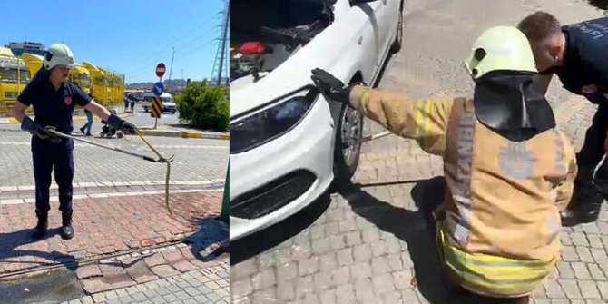 Esenyurt’ta otomobile giren yılanı itfaiye çıkardı