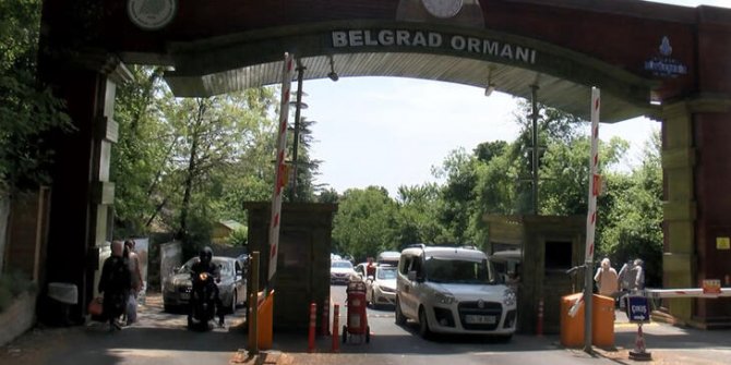 Belgrad Ormanı'na piknikçi akını
