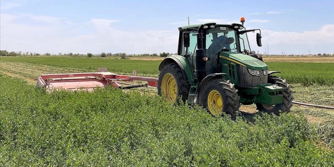 Tuz Gölü Havzası'nda yonca verimi üreticinin yüzünü güldürüyor