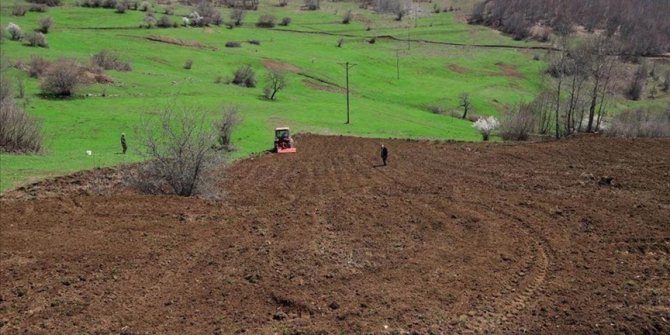 Ordu'da 3 yılda 17 bin 500 dönüm arazi tarıma kazandırıldı