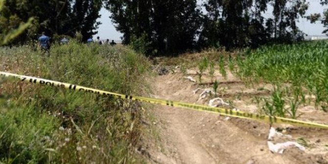 Adana’da mısır tarlasında erkek cesedi bulundu