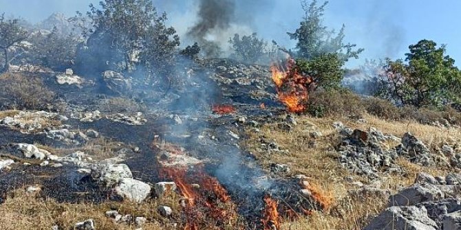 Alevler, Bodrum'da otluk ve makilik 2 dönüm alanı küle çevirdi