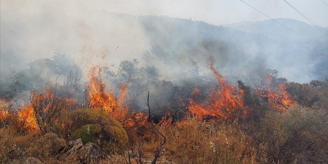 Dalaman'da orman ve makilik alanda yangın çıktı