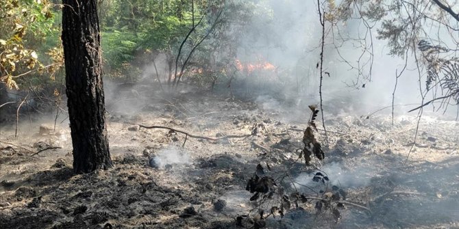 Eyüpsultan'da ormanlık alanda yangın çıktı