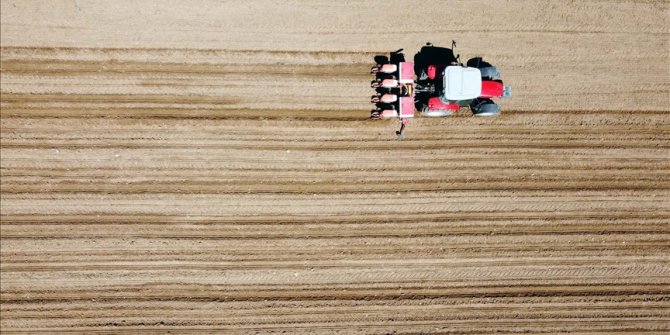 FAO'dan 'gıda darlığı kapıda' uyarısı