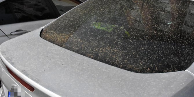 Sivas'ta toz taşınımı etkili oldu