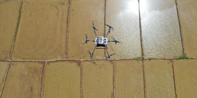 Kırıkkale'de dron ile çeltik ekim mesaisi başladı