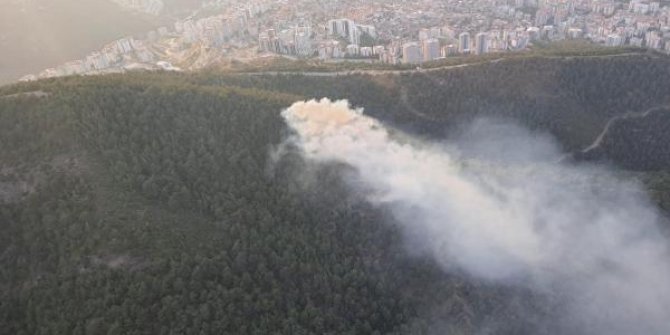 İzmir'de orman yangını