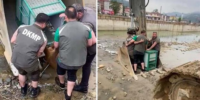 Dere yatağında yaralı bulunan karaca kurtarıldı