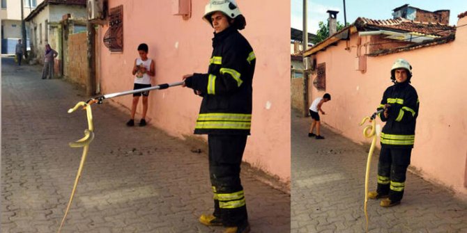 Ayakkabılığa giren 1,5 metrelik yılanı itfaiye yakaladı