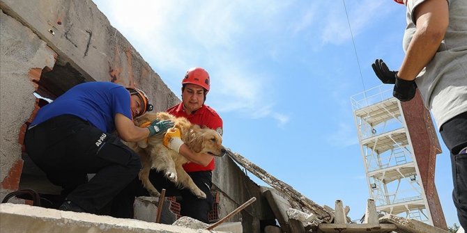 Arama kurtarma ekipleri "can dostlar" için eğitim alıyor