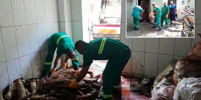 Bursa'da soğuk hava deposuna baskın; 3 ton et imha edildi