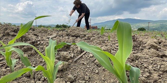 Tarıma kazandırdığı atıl arazide organik ürünler yetiştiriyor