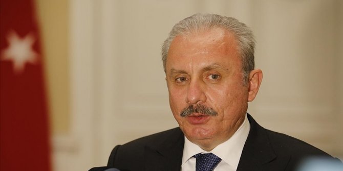 Meclis Başkanı Şentop: Polise saldıran vekilin dokunulmazlığı kaldırılmalı