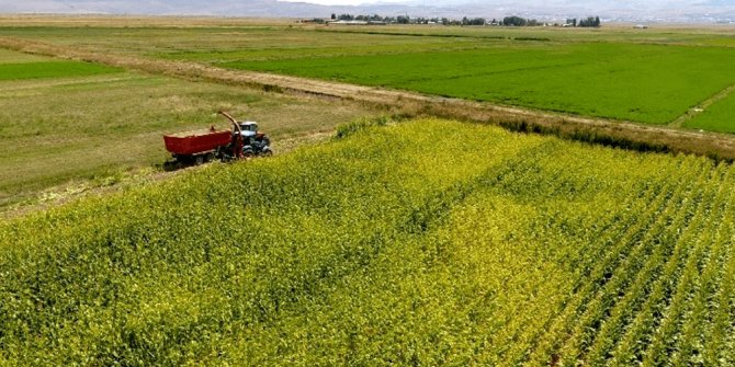 Nallıhan Belediyesi, 14 adet taşınmazı kiraya veriyor