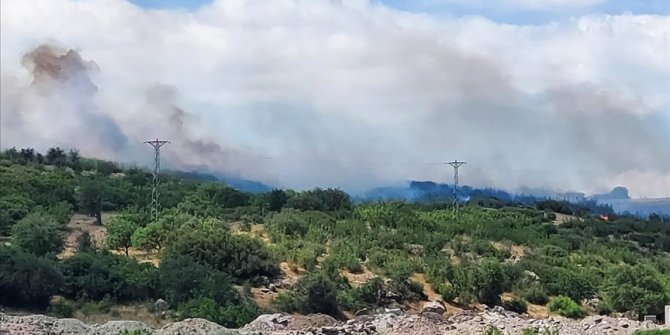 Çanakkale'de zirai alan ve orman yangınları kontrol altına alındı