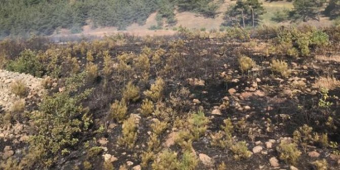 Gaziantep’te orman yangını;3 hektar alan zarar gördü