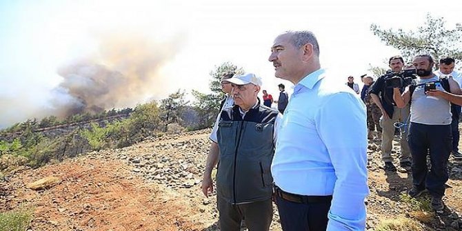 Bakan Soylu: Herkes bir tek ağacın kurtarılması için çaba sarf ediyor
