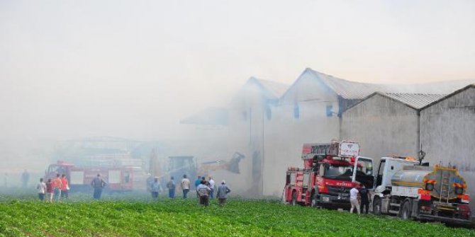 Manisa'da entegre tesiste çıkan yangında 350 ton saman küle döndü