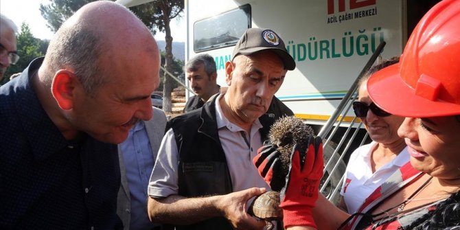 Yangında mahsur kalan kirpi ve kablumbağa hayvanseverlerce kurtarıldı