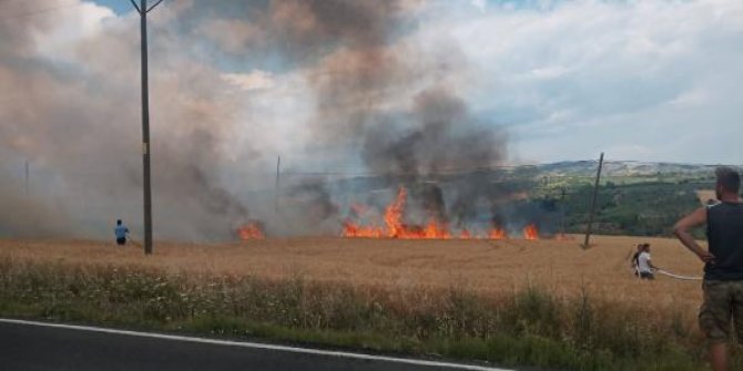 Şarköy'de elektrik tellerinden çıkan kıvılcım 25 dekar ekili buğdayı yaktı