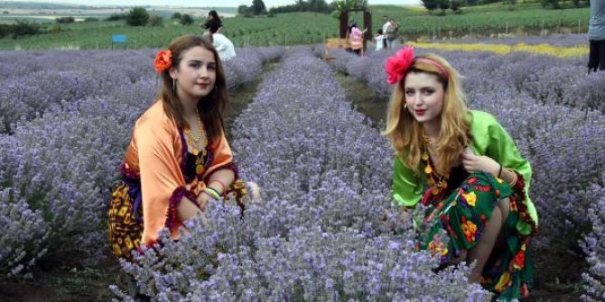 Tekirdağ'da 'Lavanta Tarla Günleri', renkli görüntülerle başladı