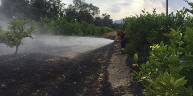 Muğla'da tarım arazisi ve otluk alanda çıkan yangınlar söndürüldü