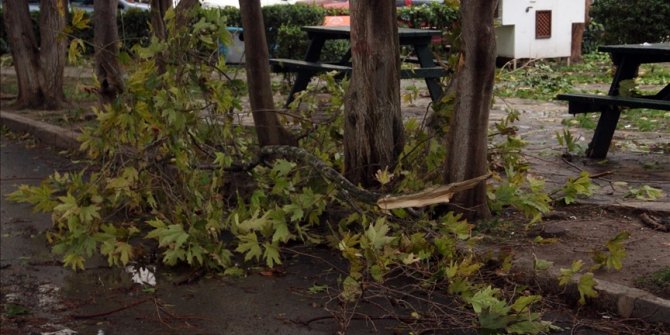 Doğu Anadolu'nun güneydoğusu için kuvvetli rüzgar ve fırtına uyarısı